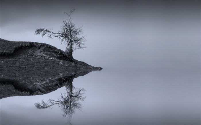 See, Baum, Wasser Reflexion, monochrom, Schottland Hintergrundbilder Bilder