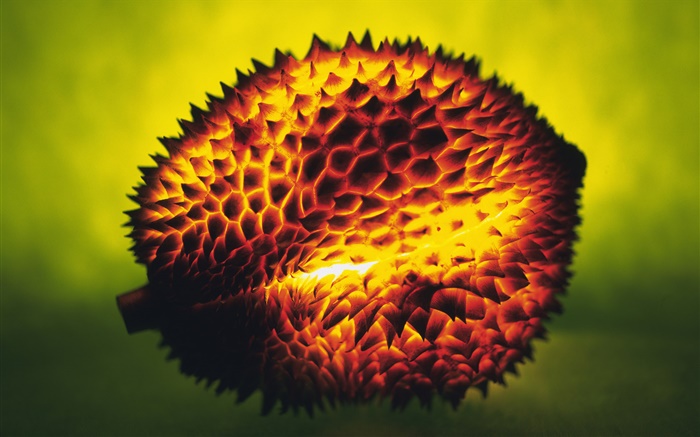 Leichte Frucht, Durian Hintergrundbilder Bilder