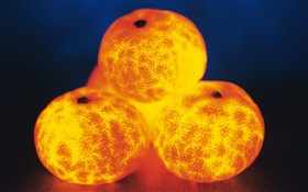 Leichte Obst, vier Orangen HD Hintergrundbilder