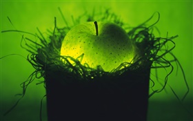 Leichte Obst, grüner Apfel im Nest HD Hintergrundbilder