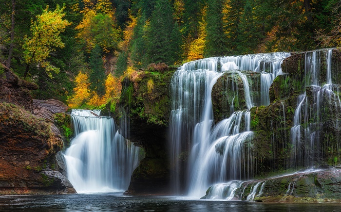 Senken Sie Lewis River Falls, Washington, USA, Wasserfälle , Herbst, Bäume Hintergrundbilder Bilder