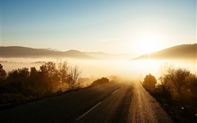 Morgen, Sonnenaufgang, Nebel, Straße, Bäume, Sonnenstrahlen HD Hintergrundbilder