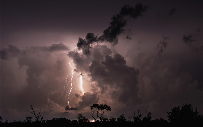 Nacht, Wolken, Sturm, Blitzschlag , Bäume, Silhouette Hintergrundbilder Bilder