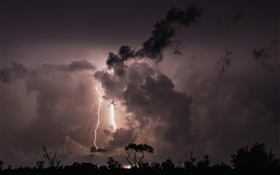 Nacht, Wolken, Sturm, Blitzschlag , Bäume, Silhouette HD Hintergrundbilder