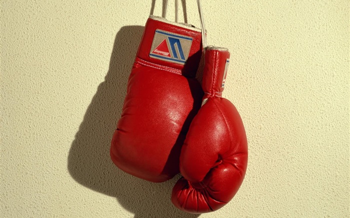 Rote Boxhandschuhe, Sport Hintergrundbilder Bilder