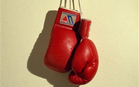 Rote Boxhandschuhe, Sport