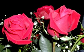 Rote Rosenblüten , Blumenstrauß HD Hintergrundbilder
