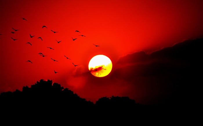 Roter Himmel, Wolken, Sonnenuntergang, glühen, Vögel, Silhouette Hintergrundbilder Bilder