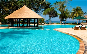 Resort, Palmen, Pool, Haus, exotische