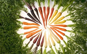 Gemüse, Karotten, verschiedene Farben, Kreis
