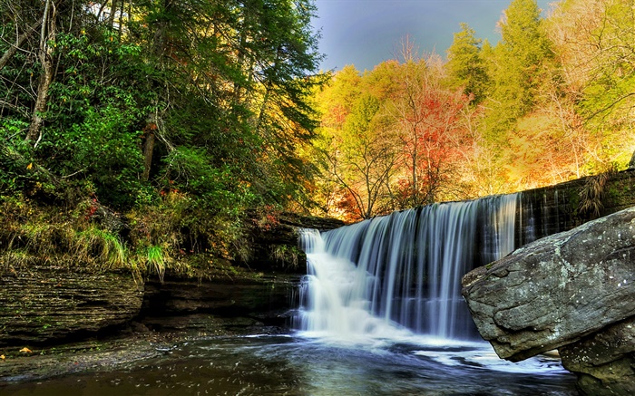 Wasserfall, Felsen, Steine, Bäume, Herbst Hintergrundbilder Bilder