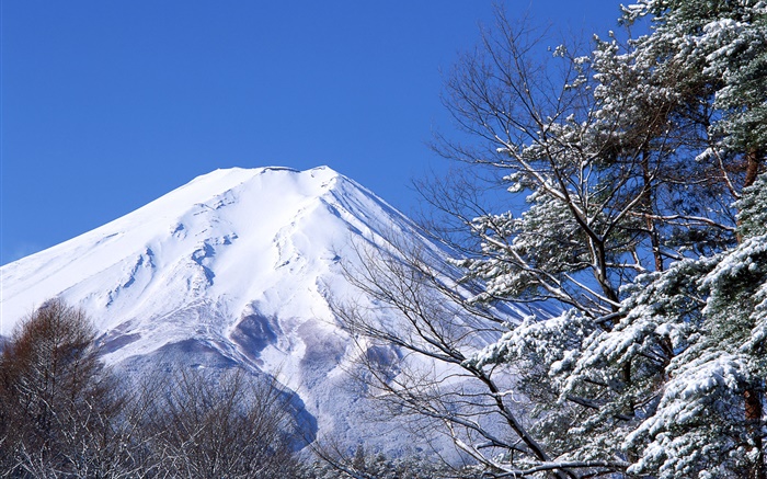 Weiß Welt, Winter, Schnee, Mount Fuji, Japan Hintergrundbilder Bilder