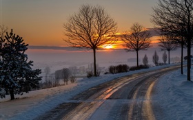 Winter, Morgen, Morgendämmerung , Straßen, Bäume, Schnee, Sonnenaufgang HD Hintergrundbilder
