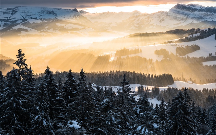 Winter, Berge, Morgen, Strahlen der Sonne, Bäume, Schnee Hintergrundbilder Bilder