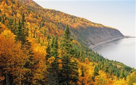 Herbst, Berge, Wald, Bäume, Küste, Meer HD Hintergrundbilder