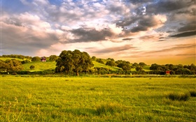 Land, Felder, Gras, Bäume, Wolken, Dämmerung HD Hintergrundbilder