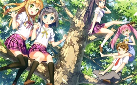 Netter Anime Mädchen im Baum HD Hintergrundbilder