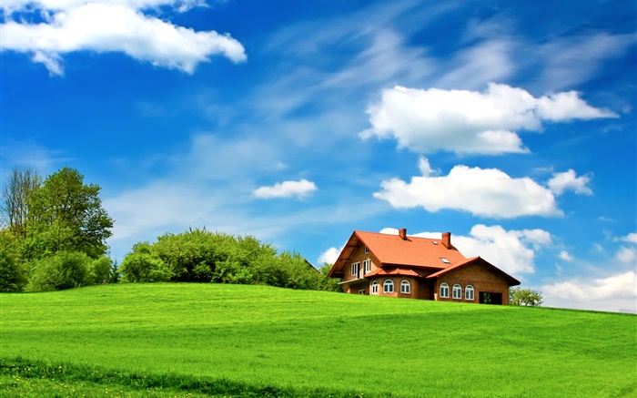 Grünes Gras, Bäume, Haus, Wolken, blauer Himmel Hintergrundbilder Bilder