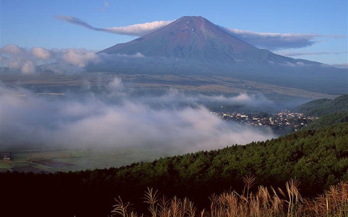 Mount Fuji, Japan, Stadt, Wald, Gras, Nebel, Wolken Hintergrundbilder Bilder