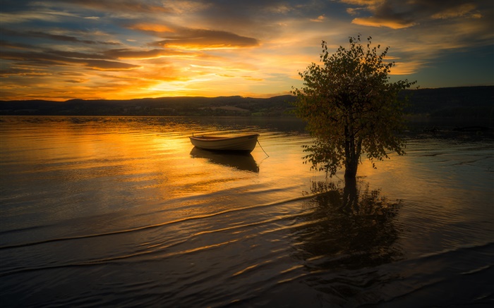 Sonnenuntergang, Wolken, Fluss, Baum, Boot Hintergrundbilder Bilder