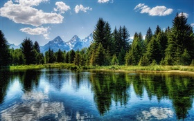 Bäume, See, blauer Himmel, Wolken, Wasser Reflexion HD Hintergrundbilder