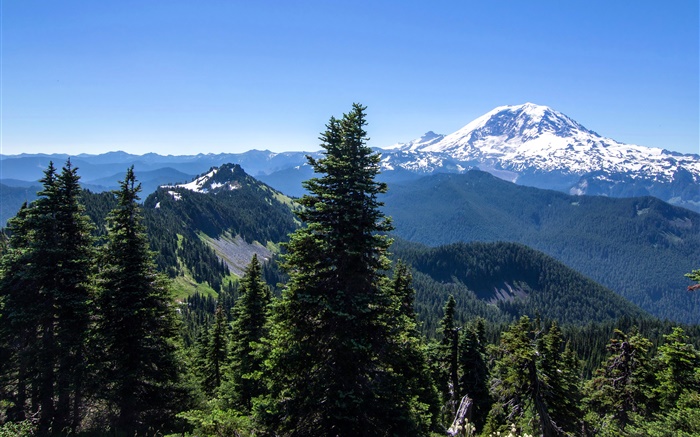 USA, Alaska, Wald, Berge, blauer Himmel Hintergrundbilder Bilder