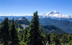 USA, Alaska, Wald, Berge, blauer Himmel HD Hintergrundbilder