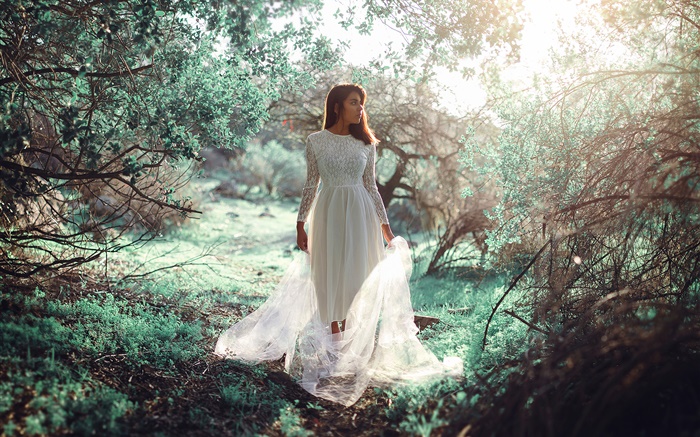 Weißes Kleid Mädchen im Wald, Sonnen-, Blend- Hintergrundbilder Bilder