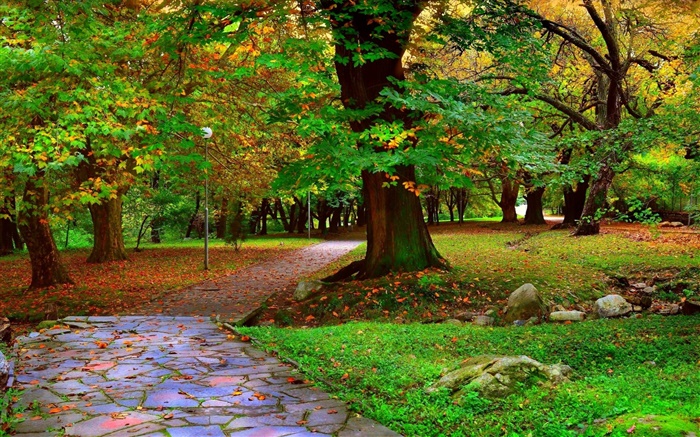 Herbst-Park, Bäume, Gehweg, Blätter Hintergrundbilder Bilder