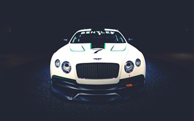 Bentley Continental GT3 Konzept Rennwagen Vorderansicht HD Hintergrundbilder