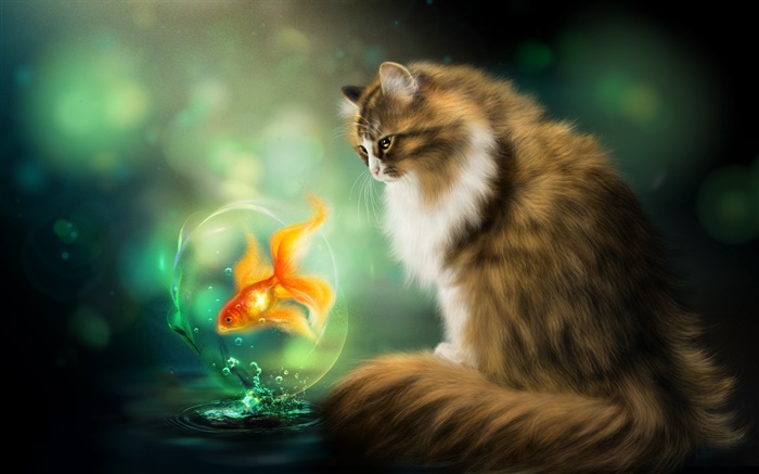 Katze und Goldfisch , Kunstzeichnung Hintergrundbilder Bilder