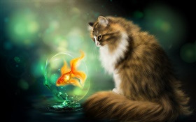 Katze und Goldfisch , Kunstzeichnung HD Hintergrundbilder
