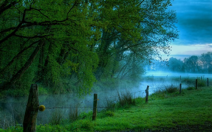Morgen Natur Landschaft, Wiese, Gras, Fluss, Nebel Hintergrundbilder Bilder