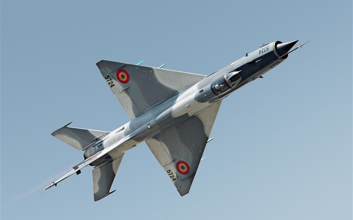 MiG-21 Kämpfer Hintergrundbilder Bilder