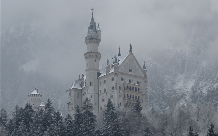 Neuschwanstein, Burg, Berge, Bäume, Schnee Hintergrundbilder Bilder