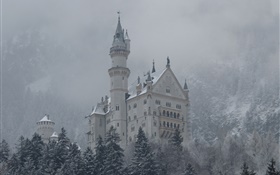 Neuschwanstein, Burg, Berge, Bäume, Schnee HD Hintergrundbilder