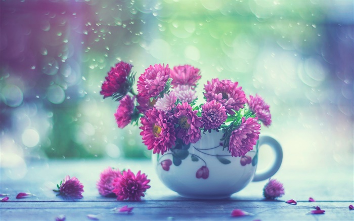 Rosa Blumen, Tasse, regen Hintergrundbilder Bilder