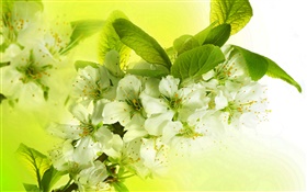 Weiße Apfelblüten, Blüte, Zweige, Frühling HD Hintergrundbilder
