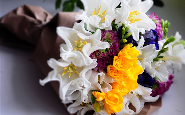 Blumenstrauß, weiße und gelbe Tulpen Hintergrundbilder Bilder