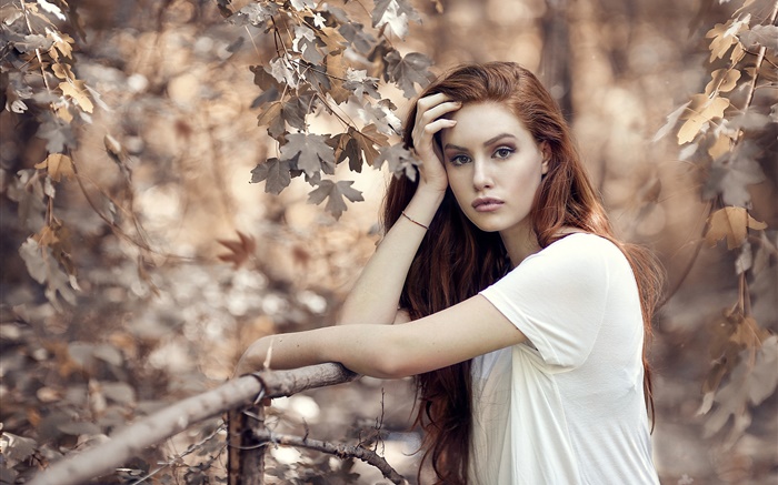 Braune Haare Mädchen im Herbst, Bäume, Zaun Hintergrundbilder Bilder