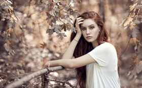 Braune Haare Mädchen im Herbst, Bäume, Zaun HD Hintergrundbilder