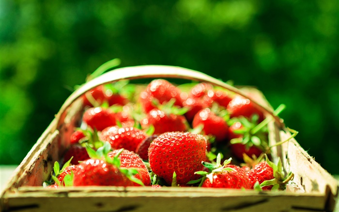 Frische Erdbeere, Korb, grüner Hintergrund Hintergrundbilder Bilder