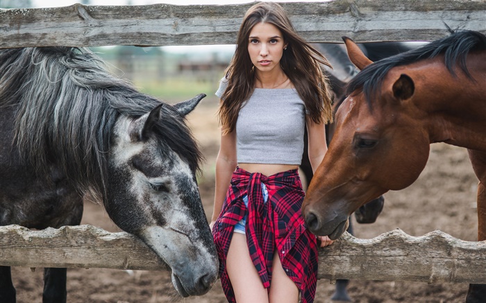 Mädchen und zwei Pferde Hintergrundbilder Bilder