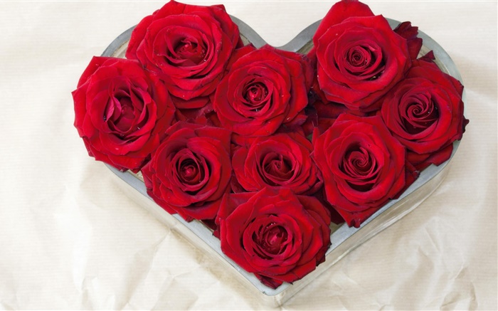 Liebe Herzen, Strauß rote Rosen Hintergrundbilder Bilder