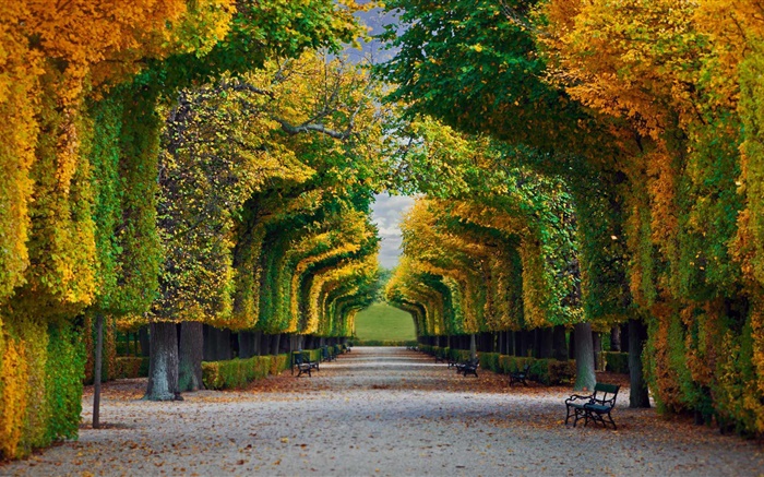 Park, Bäume, Straße, Bank, Herbst Hintergrundbilder Bilder