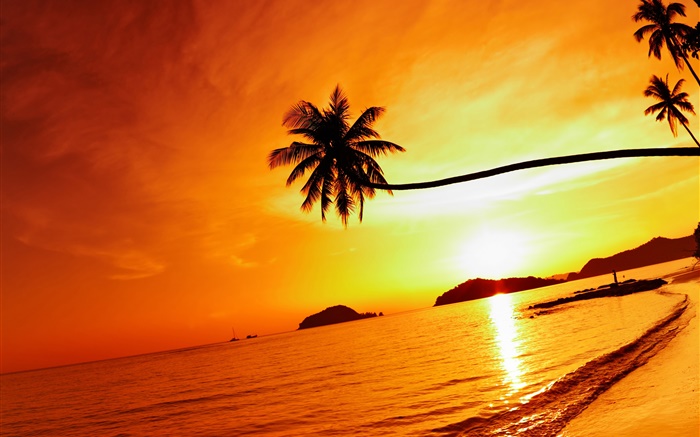 Tropischer Strand Sonnenuntergang, Palme, Thailand Hintergrundbilder Bilder