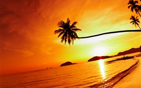 Tropischer Strand Sonnenuntergang, Palme, Thailand HD Hintergrundbilder