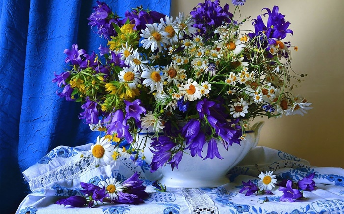 Weiße gelbe blaue Blumen, Vase Hintergrundbilder Bilder