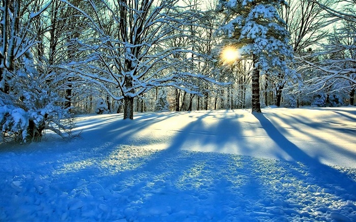 Winter, Schnee, Bäume, Sonnenstrahlen Hintergrundbilder Bilder