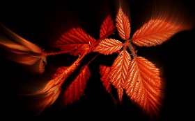 Herbst, rote Blätter, schwarzer Hintergrund